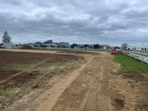 Pirongia retaining wall and picnic-area cut and fill